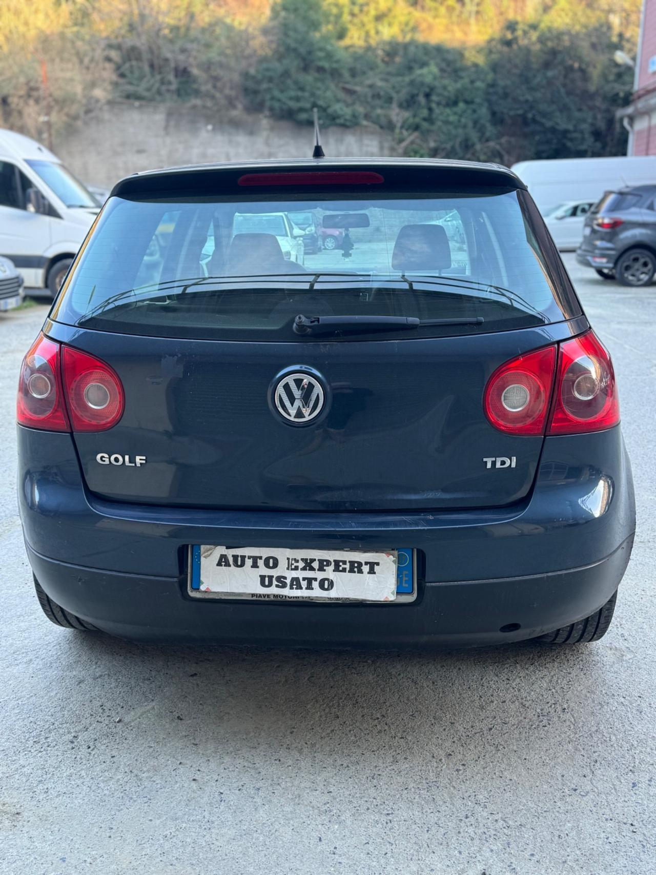 Volkswagen Golf 1.9 TDI 5p. GT Sport 2007