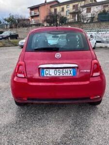 FIAT 500 1.0 HYBRID 70CV CULT MANUAL PETROL