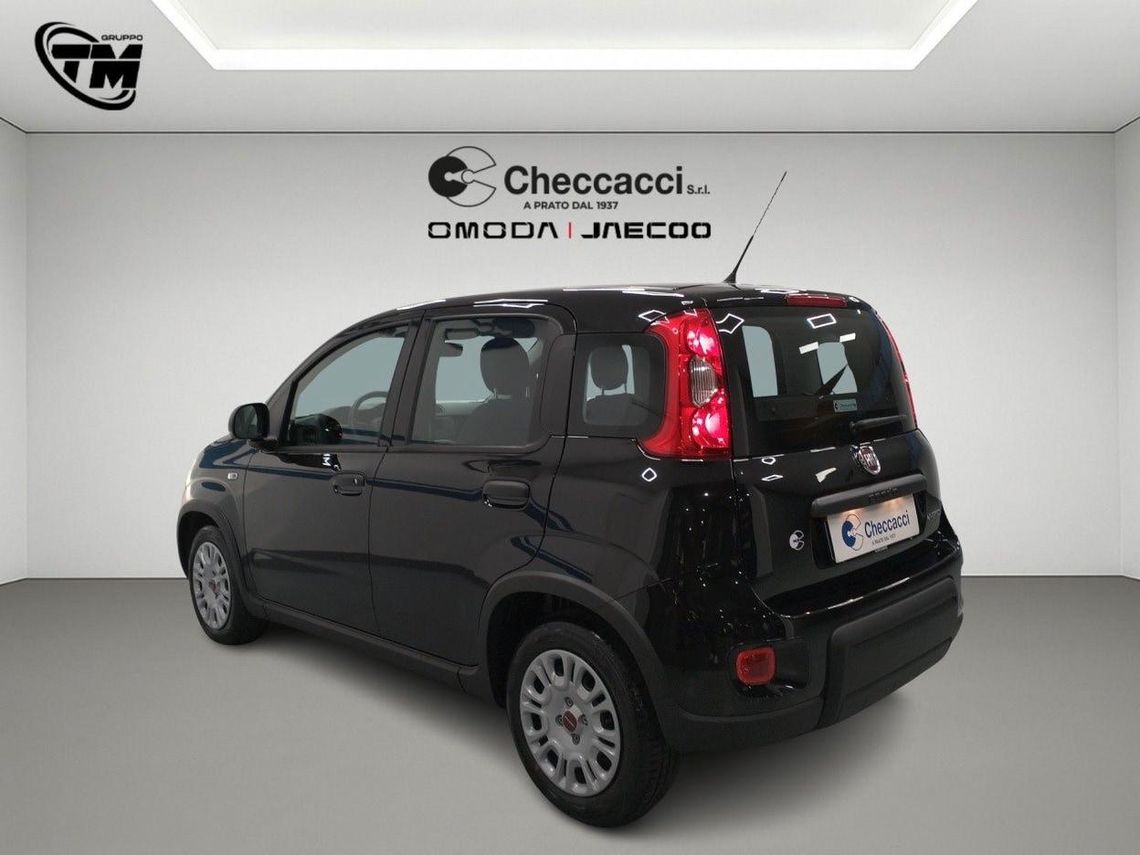 FIAT Panda 3ª serie Panda 1.0 FireFly S&S Hybrid