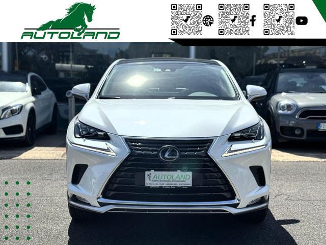LEXUS NX 300 Hybrid 4WD Executive 155 CV