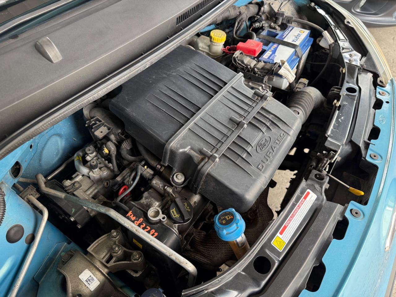 Ford Ka Ka+ 1.2 8V 69CV UNICO PROP CINGHIA FATTA