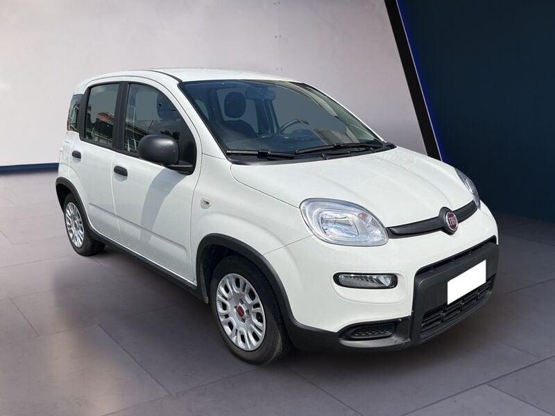 FIAT Panda My23 1.0 70cv Hybrid Panda