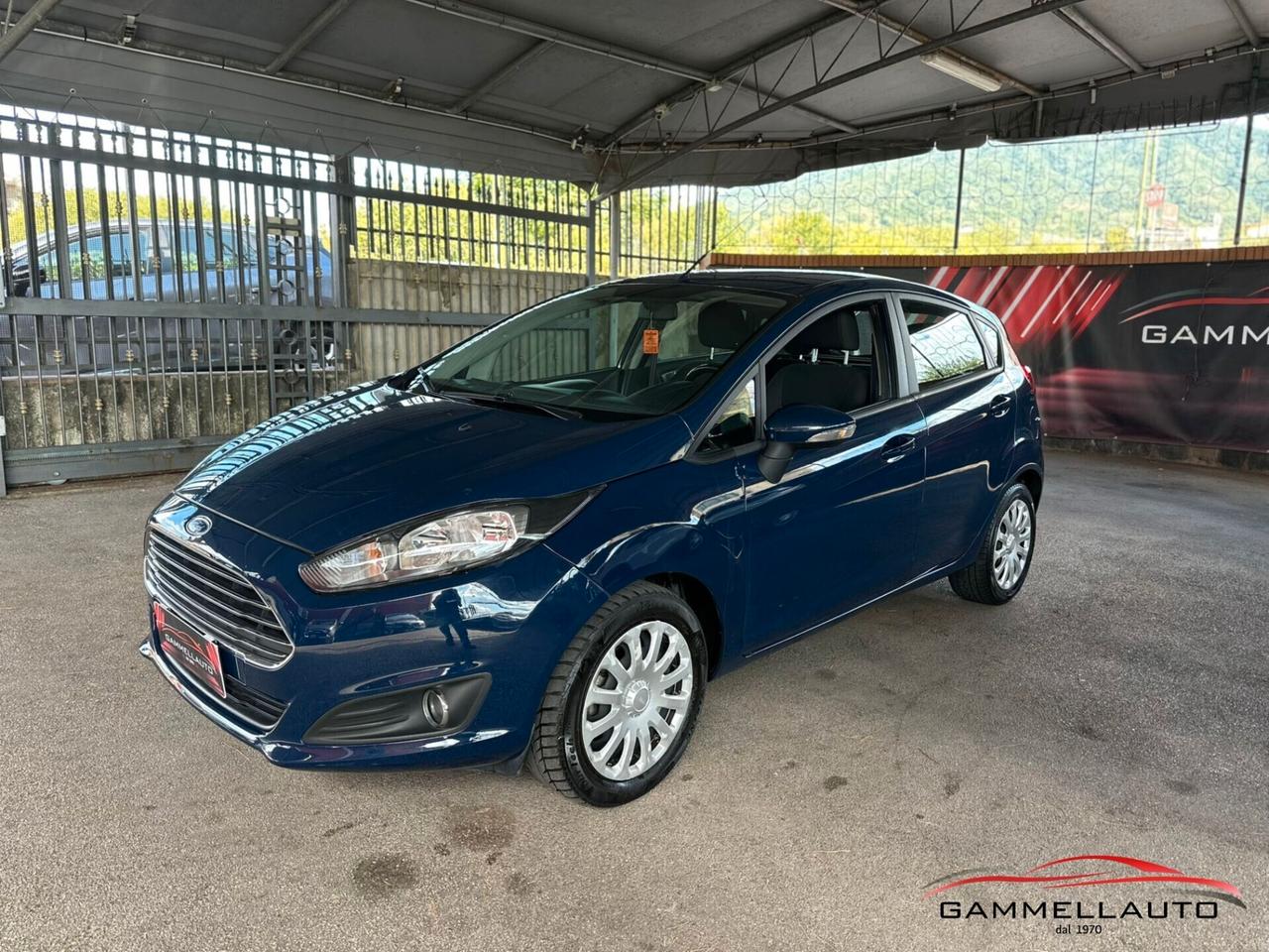 Ford Fiesta 1.4 GPL ikon 96cv