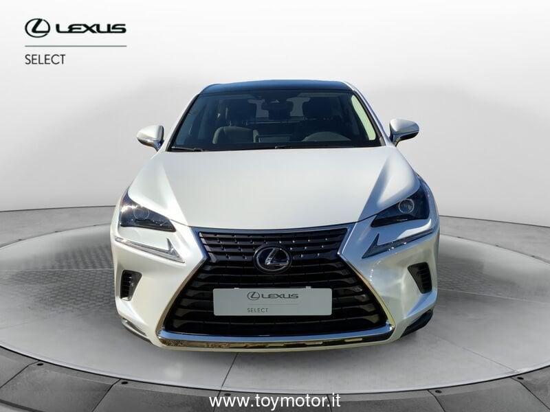 Lexus NX 1ª serie Hybrid 4WD Premium