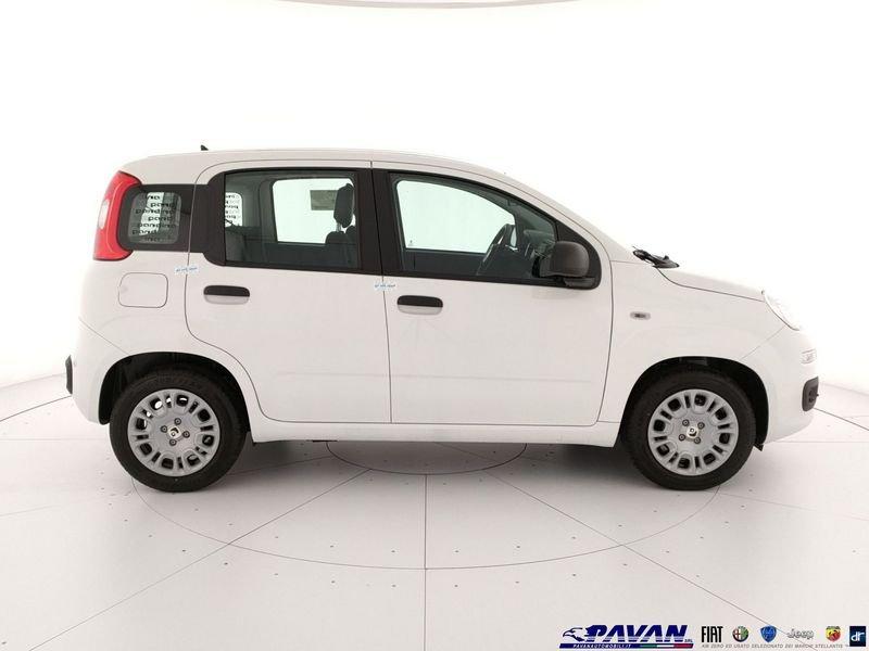 FIAT Pandina Panda 1.0 FireFly 65 CV Hybrid Icon