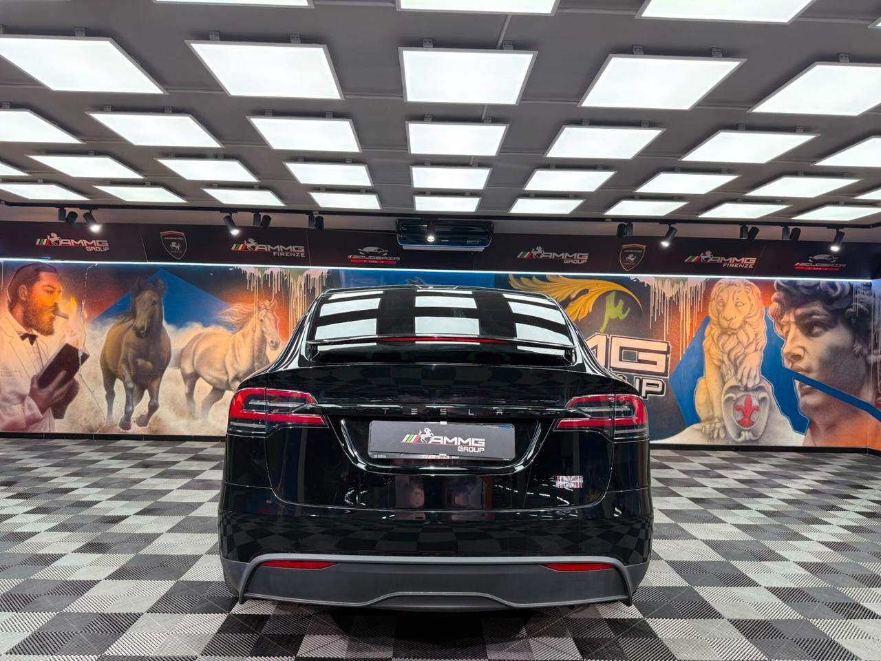 Tesla Model X Plaid (704)