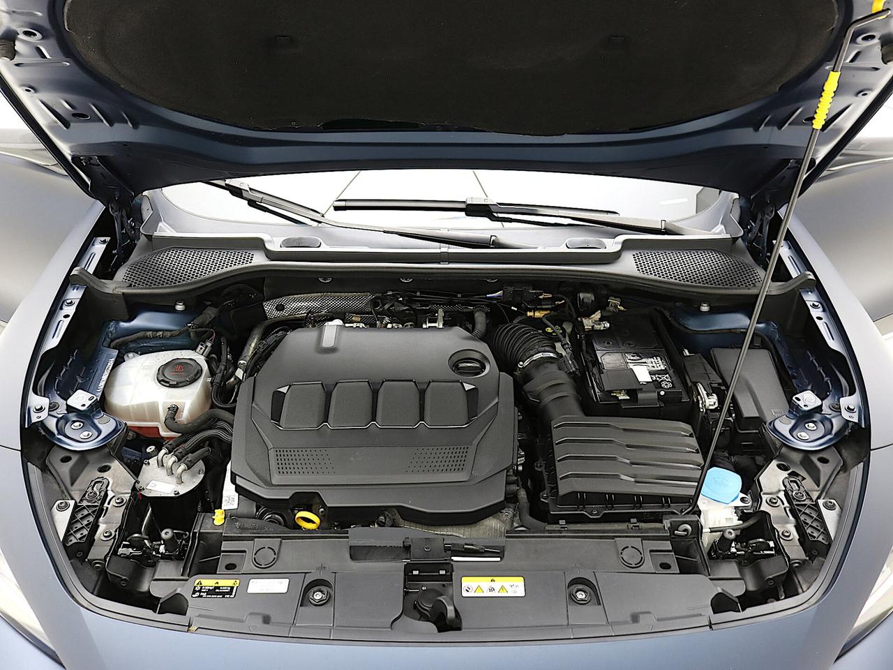 Cupra Formentor 2.0 TDI 4Drive DSG-TETTO APRIBILE