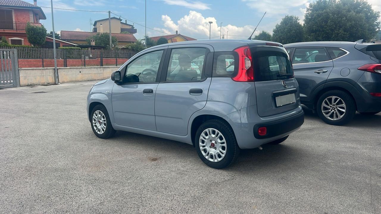 Fiat Panda 1.0 FireFly S&S Hybrid Neopatentati