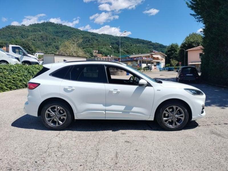 Ford Kuga Kuga 1.5 EcoBlue 120 CV 2WD ST-Line