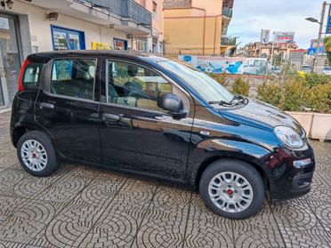 Fiat Panda 1.2 EasyPower Easy GPL