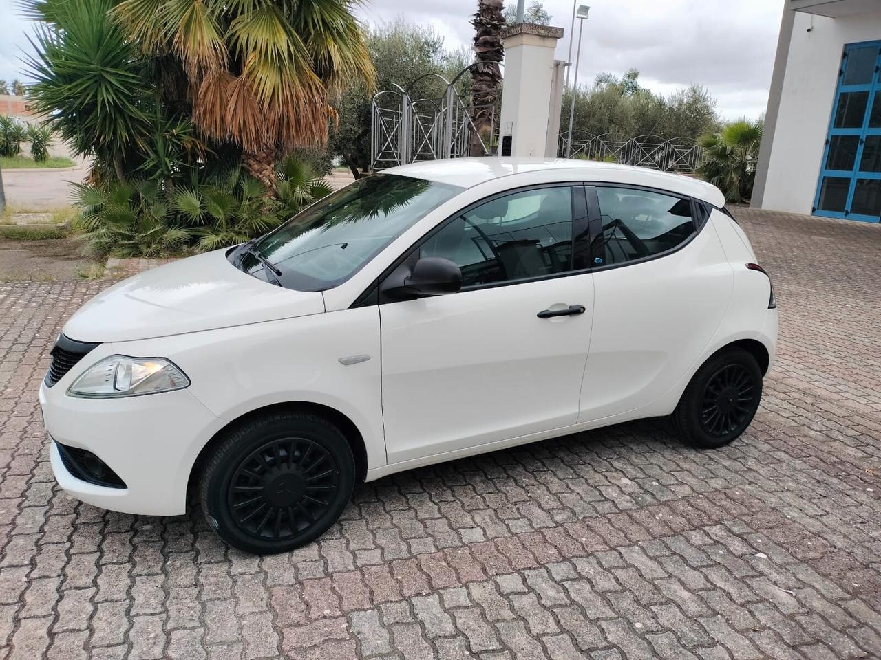 Lancia Ypsilon 1.2 69 CV 5 porte S&S Elefantino Blu