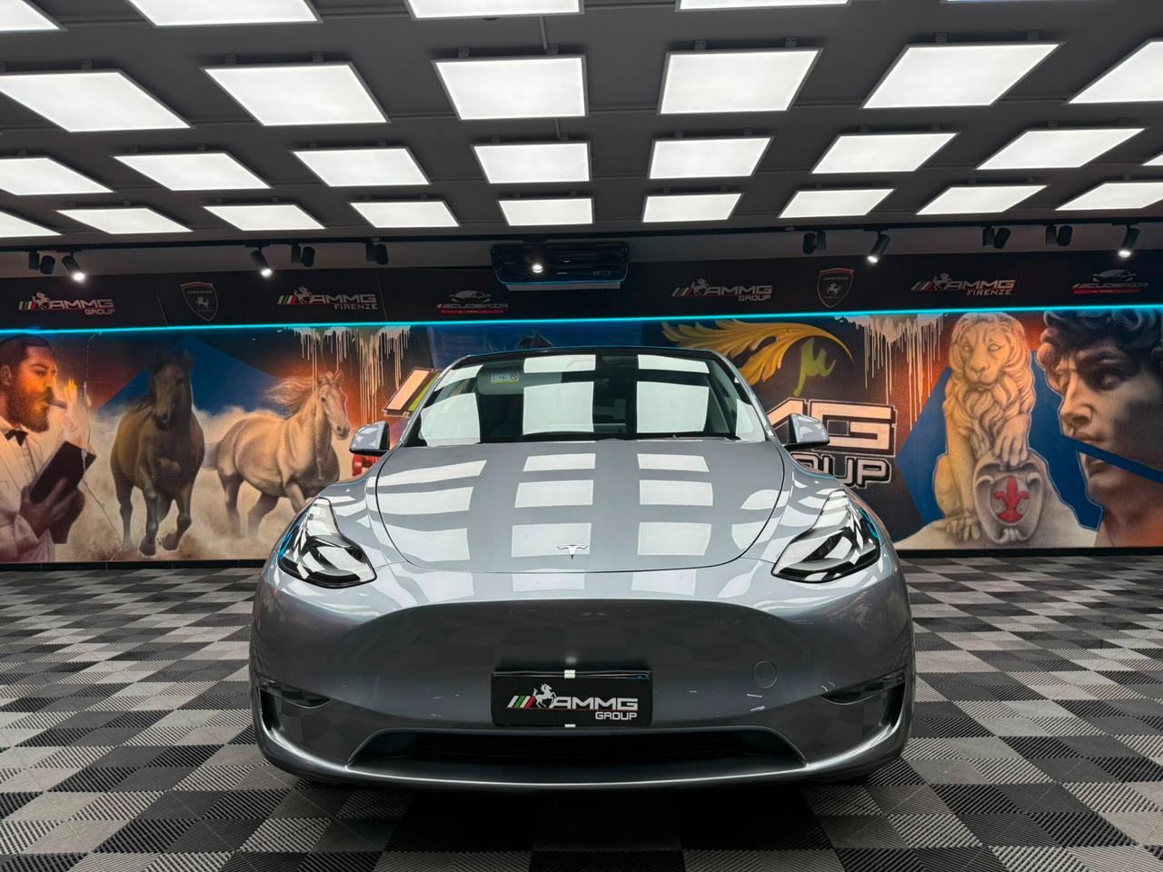 Tesla Model Y Long Range ADW (337)