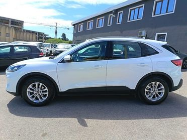 FORD Kuga 1.5 EcoBlue 120 CV aut. 2WD Titanium Business