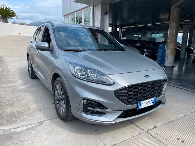 Ford Kuga 1.5 EcoBlue 120 CV aut. 2WD ST-Line X