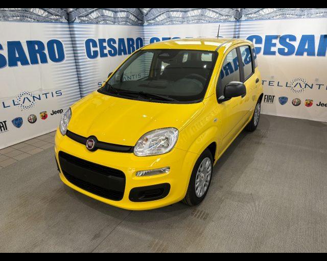 FIAT Pandina 1.0 firefly hybrid Icon s&s 65cv