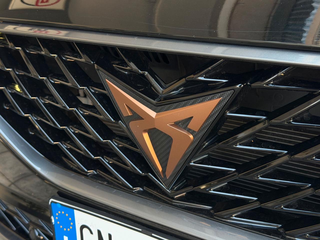 Cupra Formentor 2.0 TDI 4Drive DSG