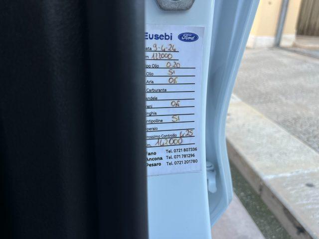 FORD Focus 1.5 EcoBlue 120 CV ST-Line