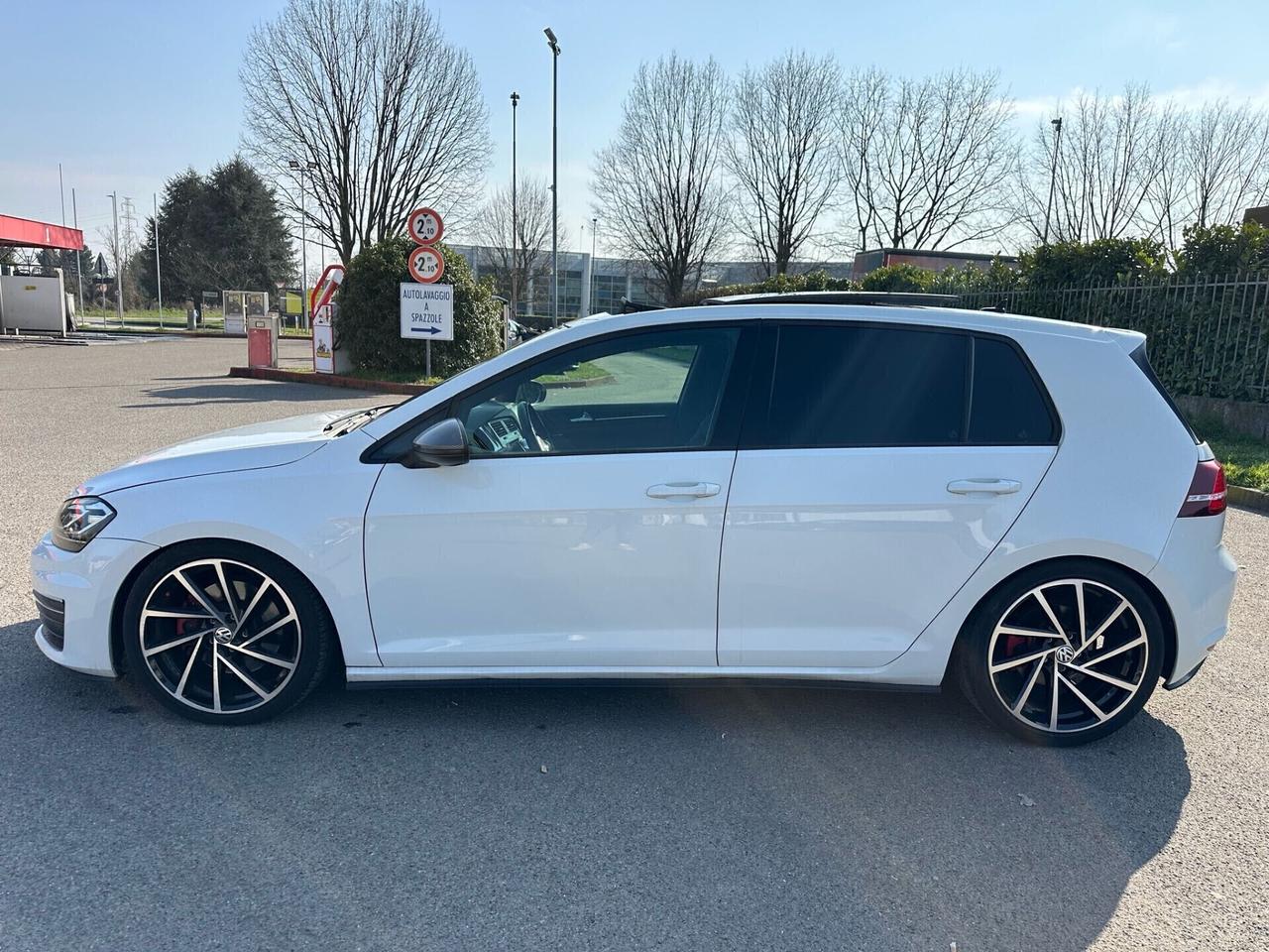 Volkswagen Golf GTI Golf GTI Performance 2.0 TSI 5p. BlueMotion Technology