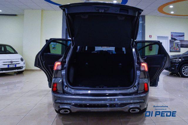 FORD Kuga 1.5 EcoBlue 120 CV 2WD ST-Line