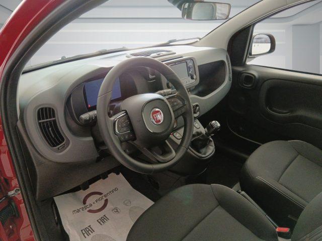 FIAT Panda 1.0 FireFly S&S Hybrid PANDINA ADAS