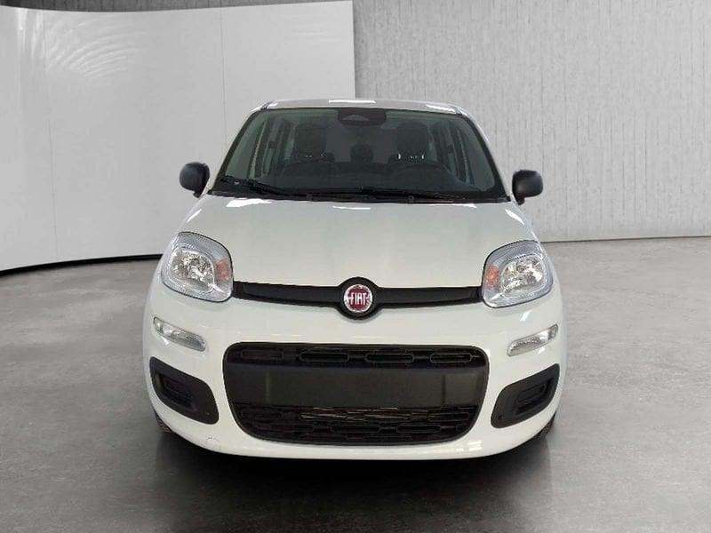 FIAT Pandina 1.0 firefly hybrid Icon s&s 70cv 5p.ti