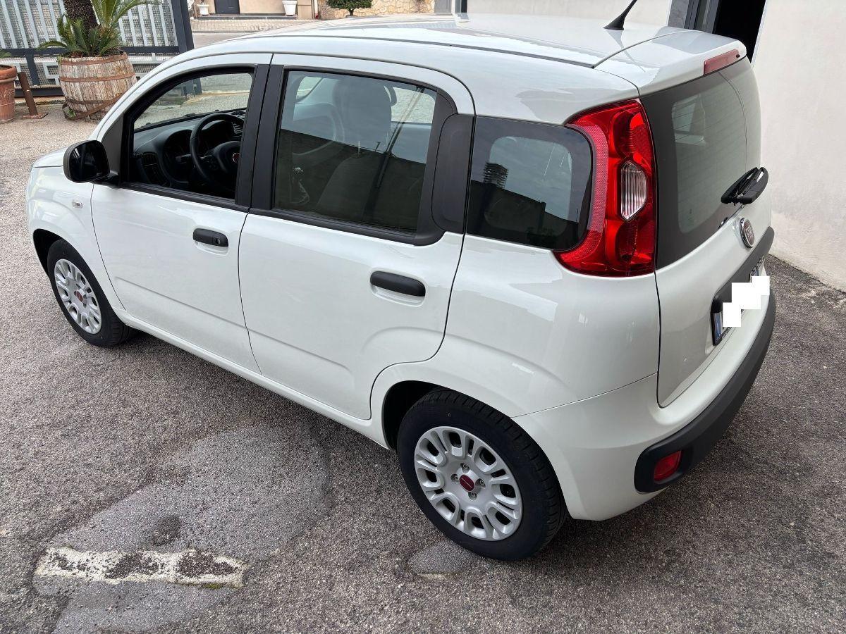 FIAT Panda 1.2 Easy 5 POSTI