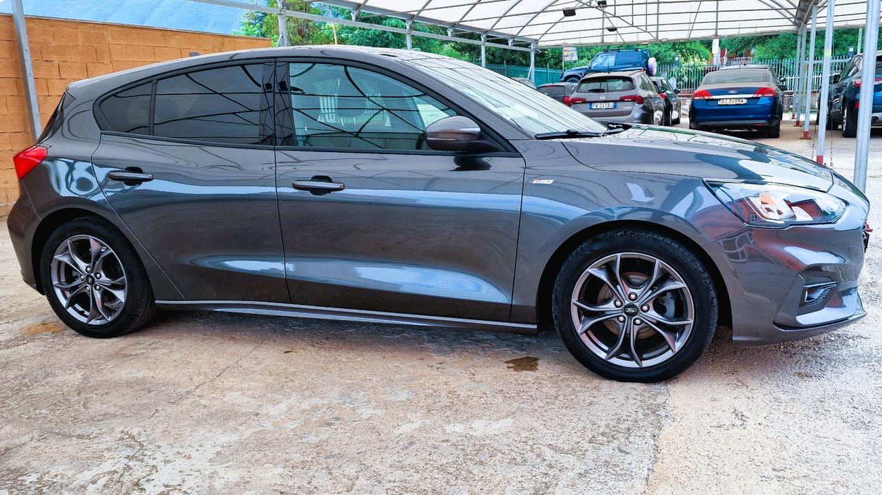 Ford Focus 1.0 EcoBoost Hybrid 125 CV 5p. ST-Line