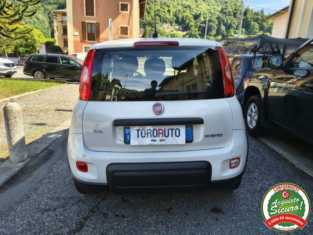 FIAT Panda 1.0 FireFly S&S Hybrid UNICO PROPRIETARIO