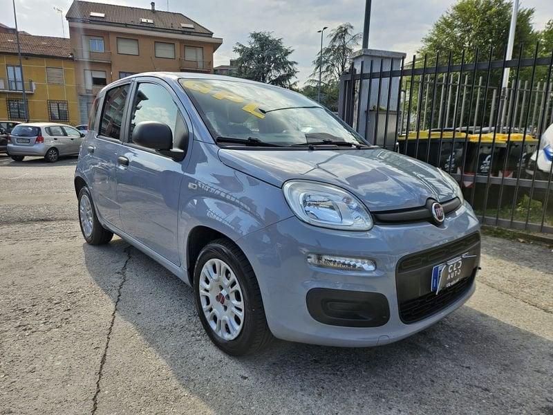 FIAT Panda Panda 1.2 Easy easypower Gpl 69cv my19