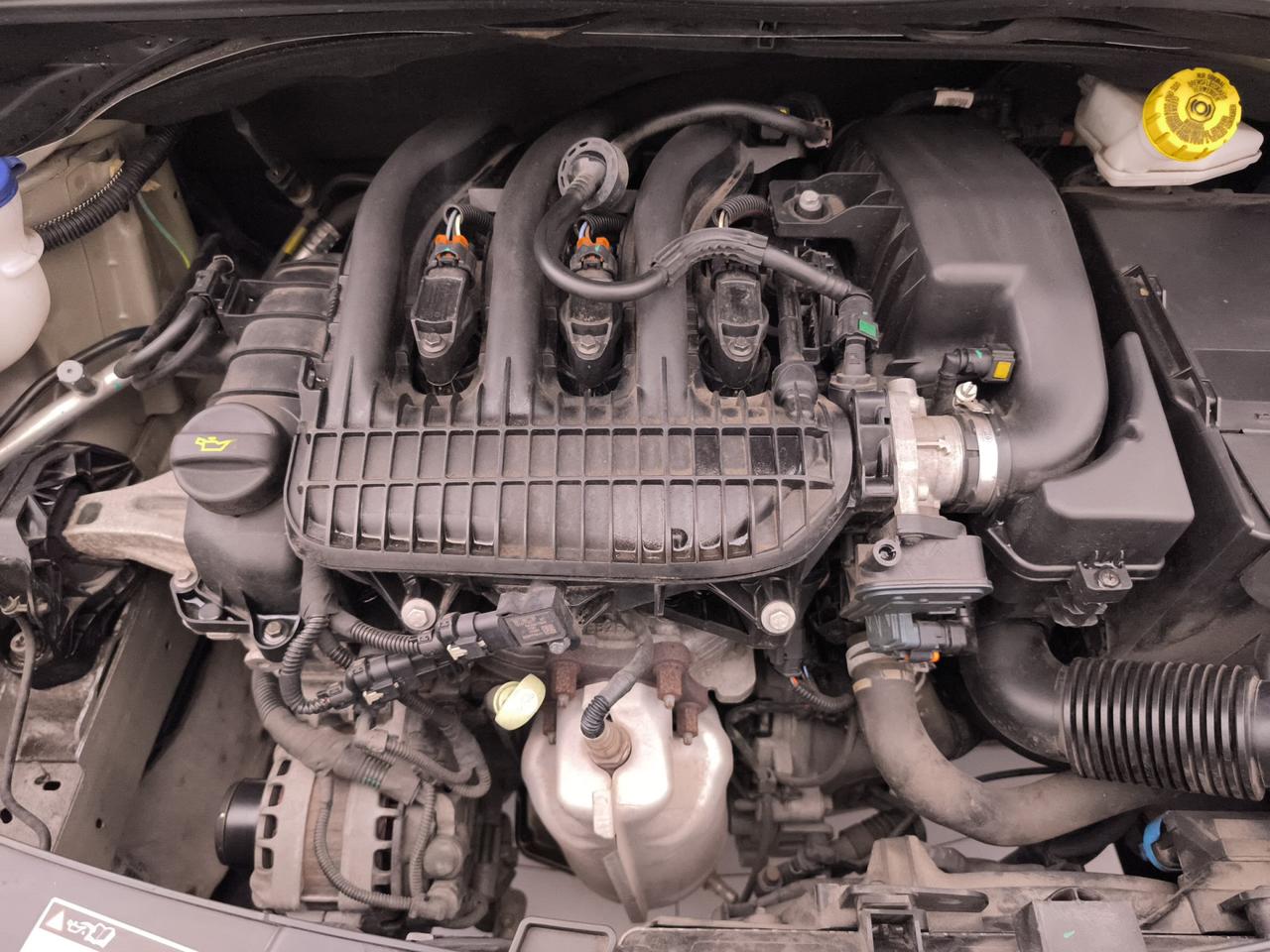 CITROEN C3 III 2017 - C3 1.2 puretech Shine s&s 83cv neopatentati