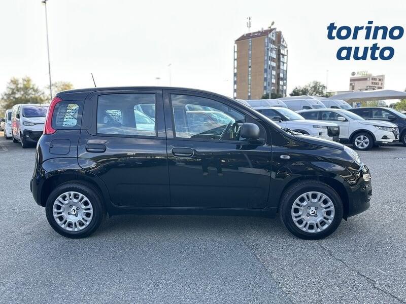 FIAT Pandina Pandina 1.0 firefly hybrid Icon s&s 65cv