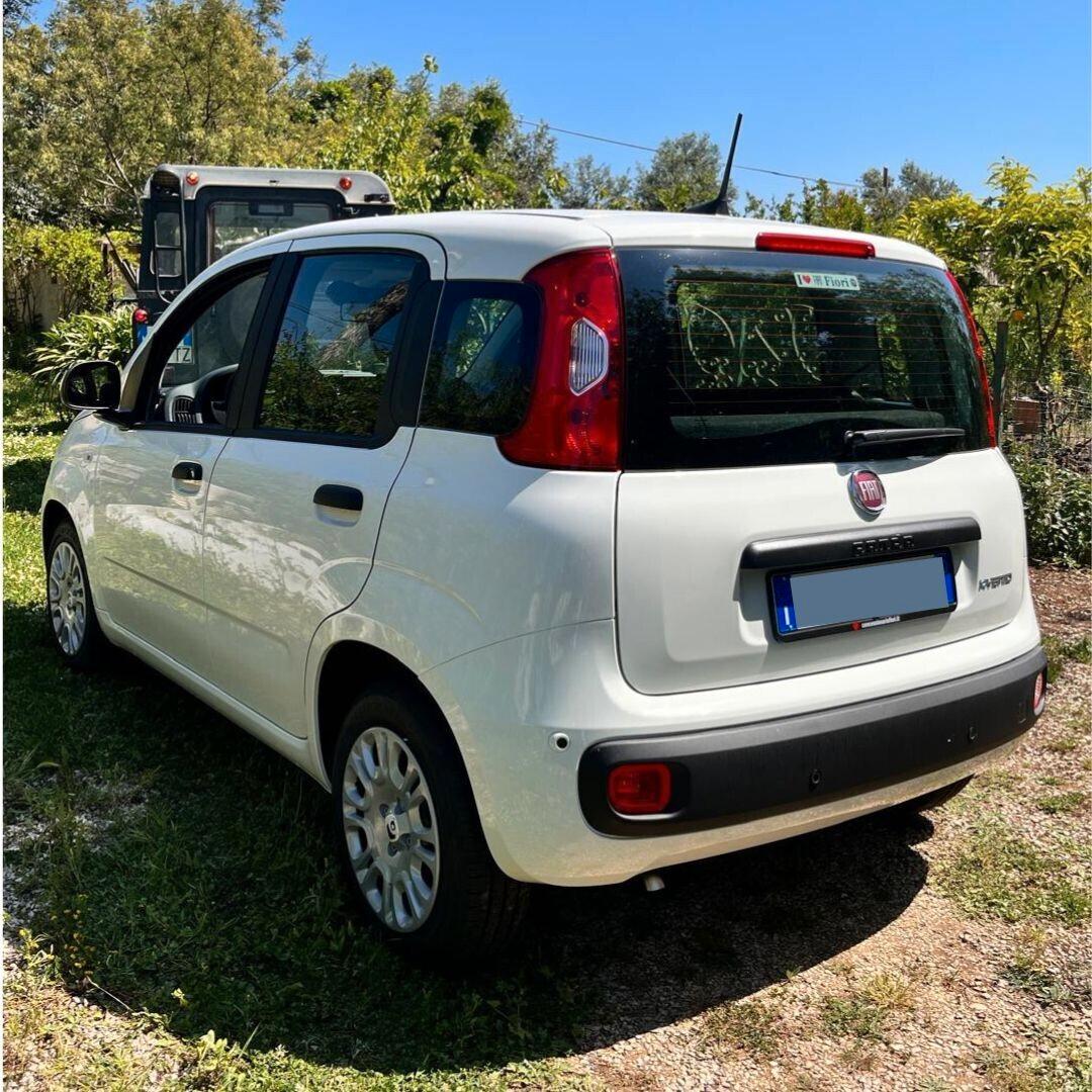 Fiat Panda 1.0 FireFly S&S Hybrid- KM ZERO