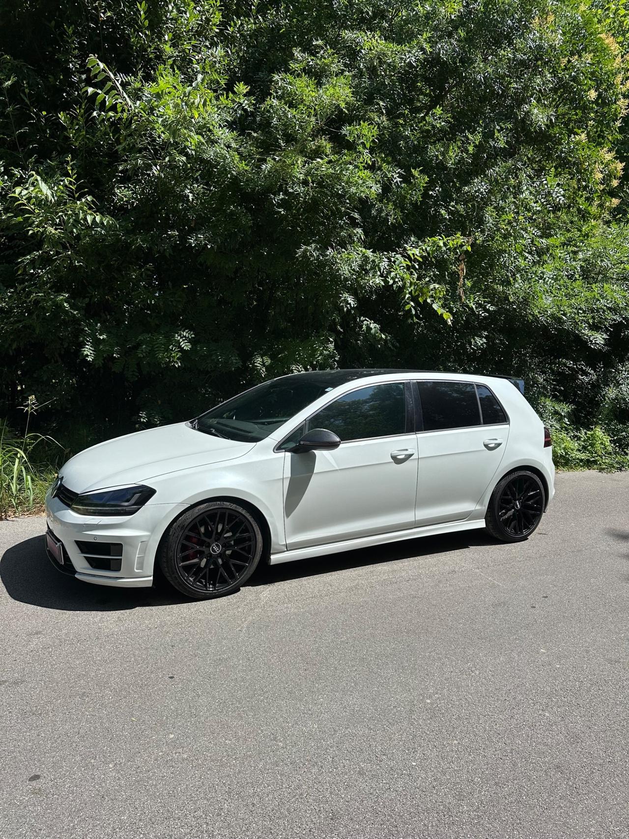 Volkswagen Golf 1.6 TDI 110 CV DSG 5p. Highline BlueMotion Technology