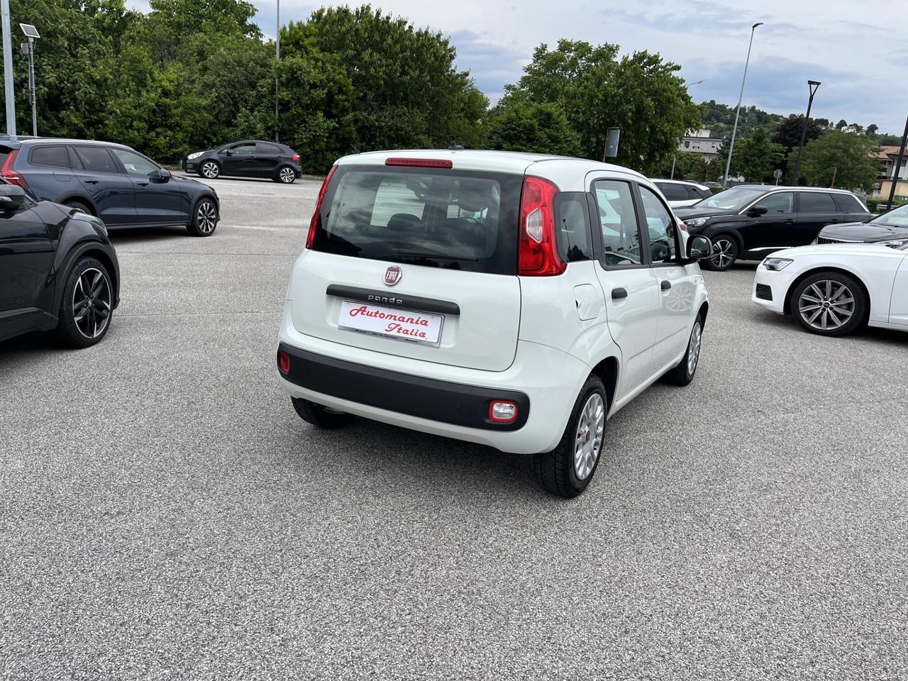 FIAT PANDA 1200 CC 69 CV EASY