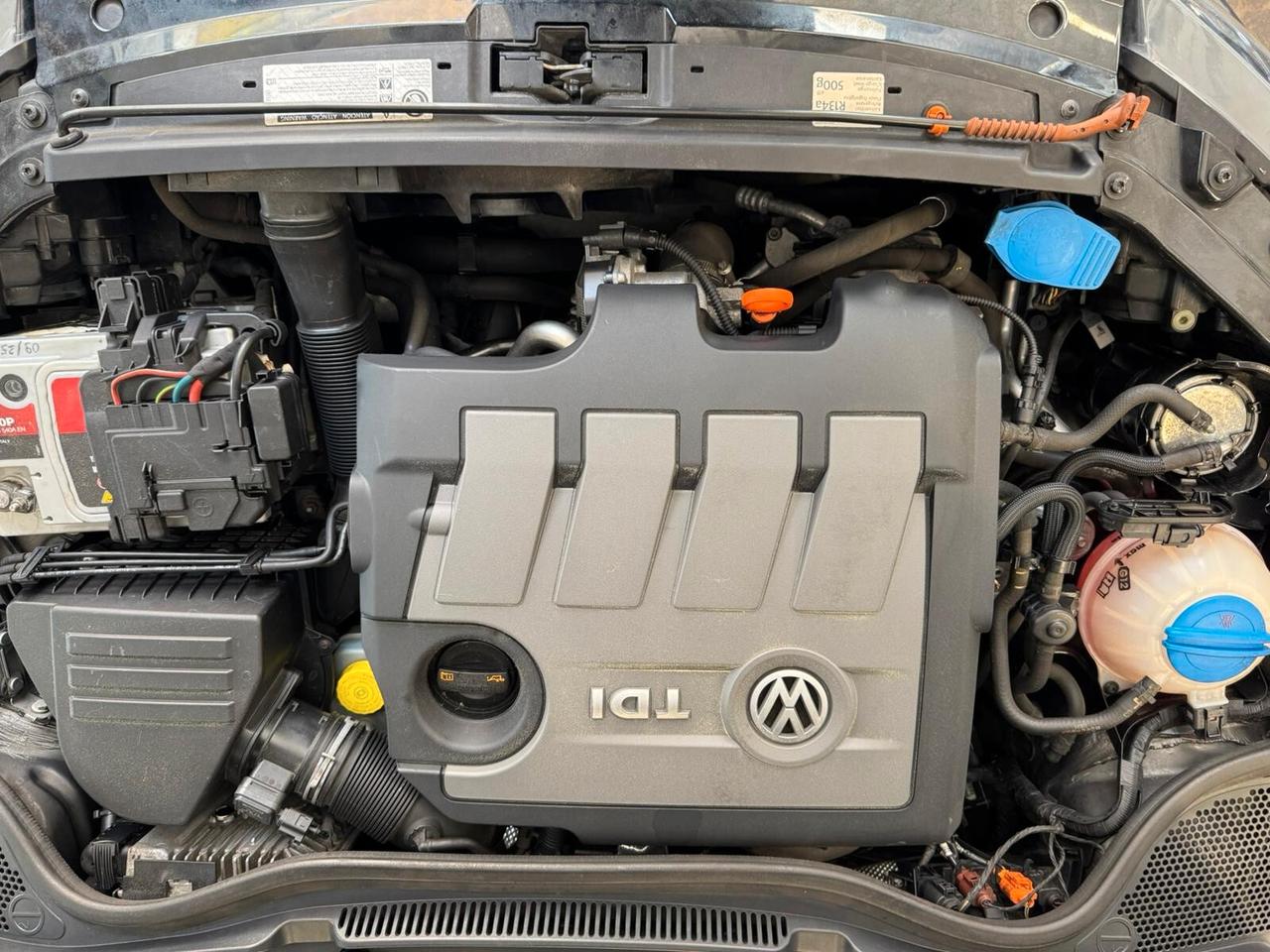 Volkswagen Polo 1.6 TDI 90CV DPF 5 porte Comfortline
