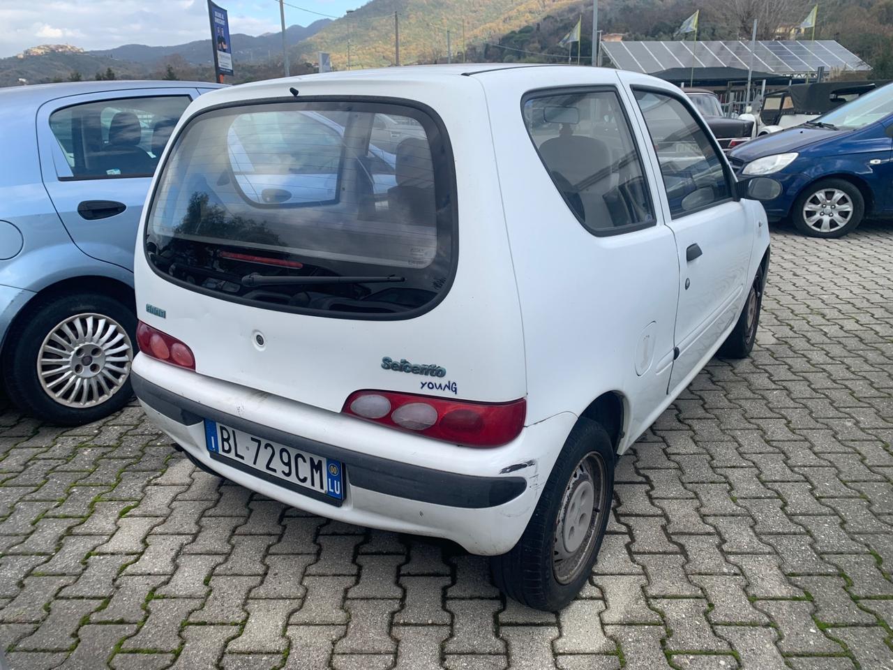 Fiat Seicento 900i cat Young