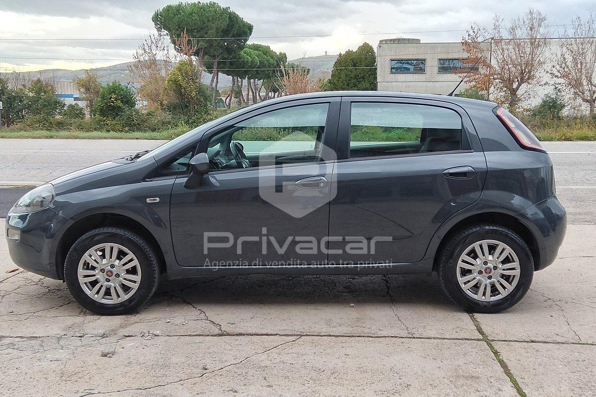FIAT Punto 1.4 8V 5 porte Natural Power Street