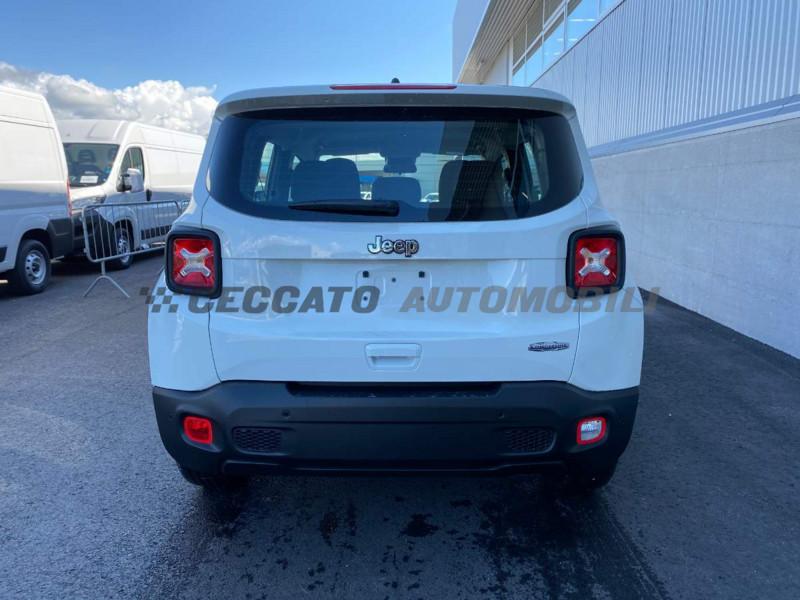 Jeep Renegade Renegade My21 Business 1.3 GseT4 150cv Ddct