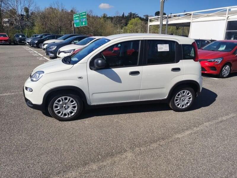 FIAT Panda New Serie 7 1.0 70cv HybridPanda