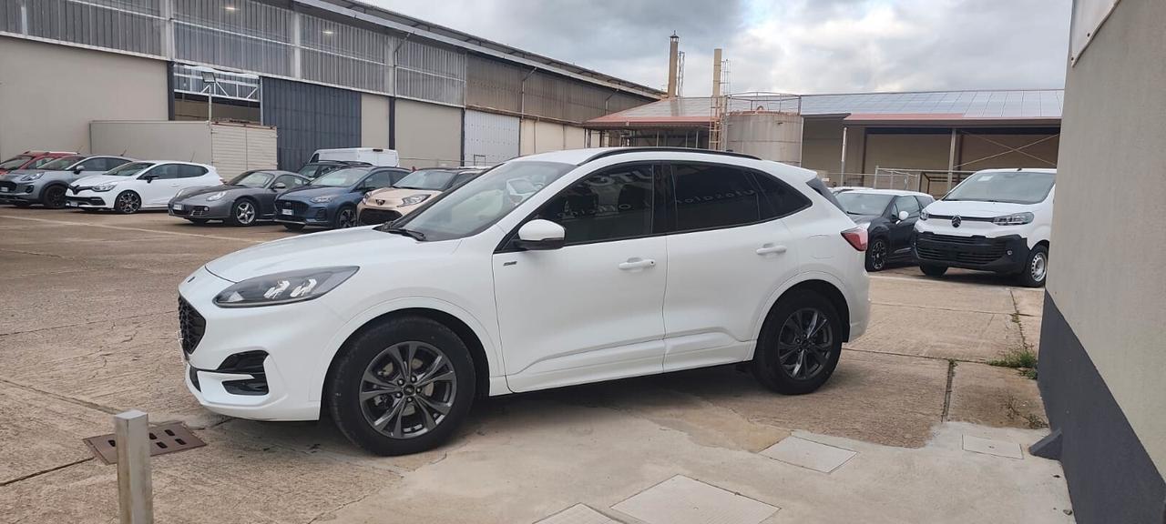 Ford Kuga 2.0 EcoBlue 120 CV aut. 2WD ST-Line X