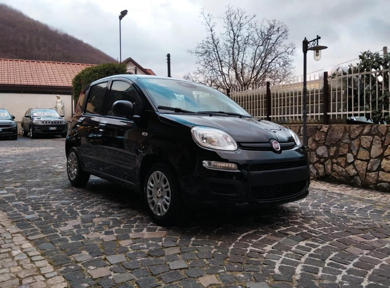 Fiat Panda 1.0 FireFly S&S Hybrid Pandina