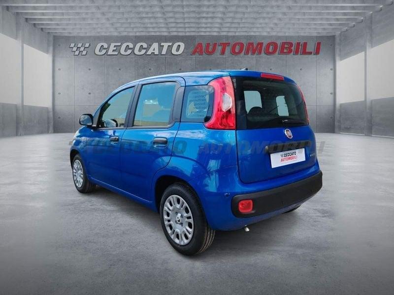 FIAT Panda Panda 1.0 70cv Hybrid Icon