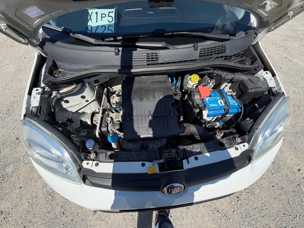 Fiat Panda 1.2 Benzina-Neopatentati-Anche Permuta