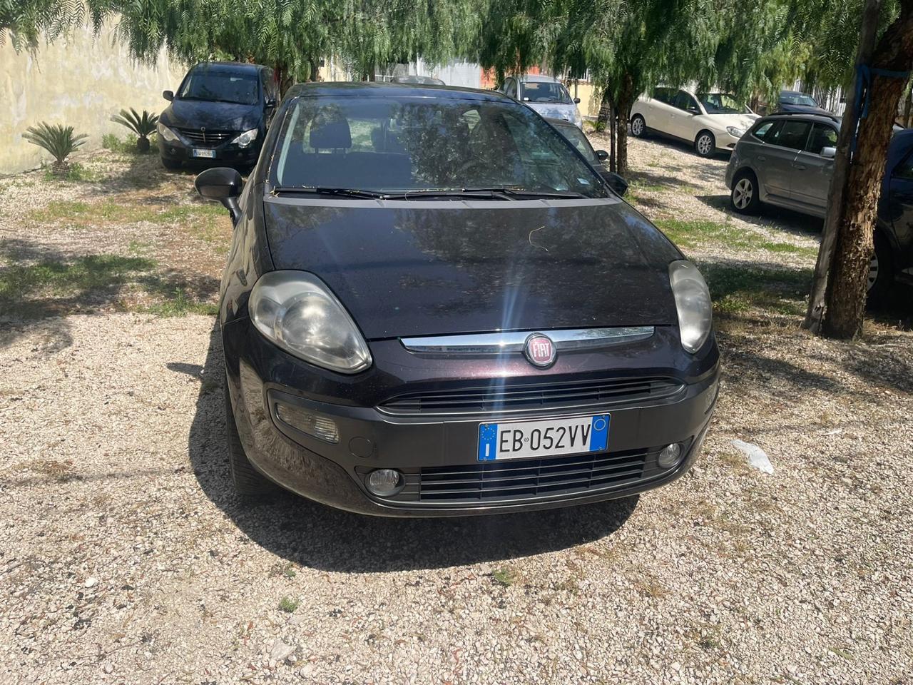 Fiat Punto Evo Punto Evo 1.4 5 porte Active