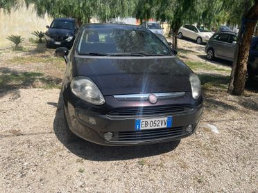 Fiat Punto Evo Punto Evo 1.4 5 porte Active