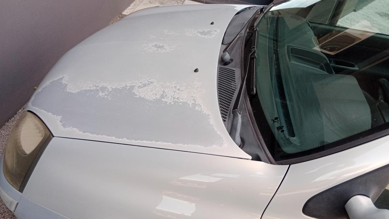 Renault Clio 1.2 cat 3 porte Expression -