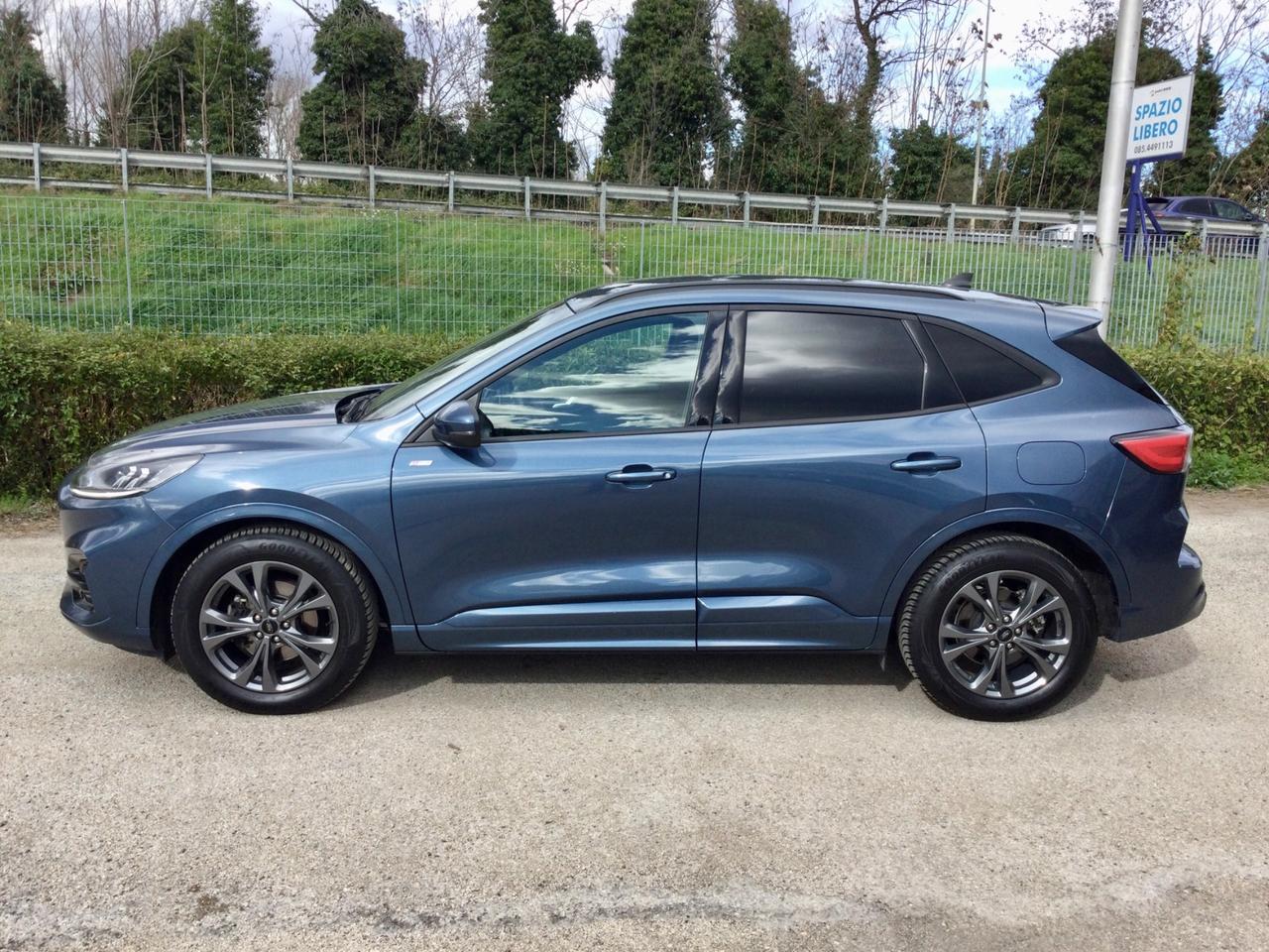 Ford Kuga 2.0 EcoBlue Turbo D 120 CV Automatico ST-Line