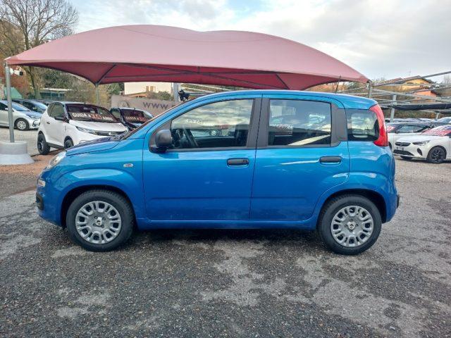 FIAT Panda 1.0 FireFly S&S Hybrid Icon