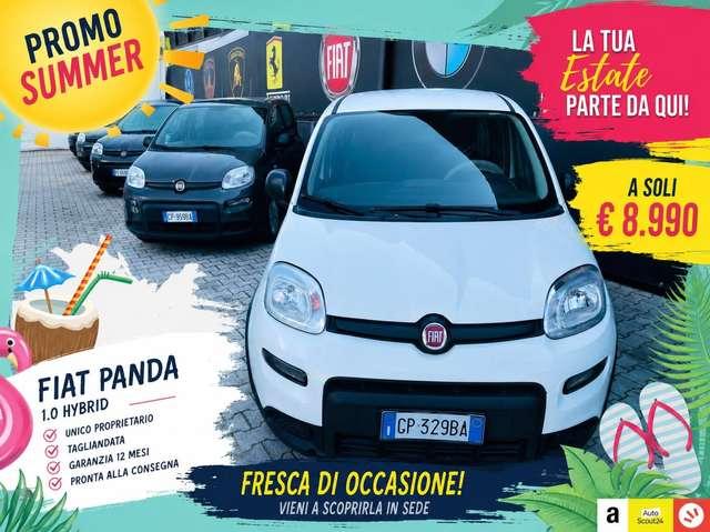 Fiat Panda Panda 1.0 firefly hybrid DISPONIBILI VARI COLORI