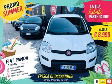 Fiat Panda Panda 1.0 firefly hybrid DISPONIBILI VARI COLORI